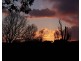 214 Logan Street, Tenterfield NSW 2372