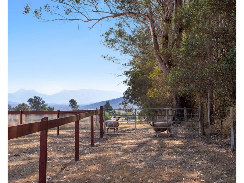 363 Tunstall Road, Charlwood QLD 4309