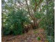 504 Barney View Road, Barney View QLD 4287