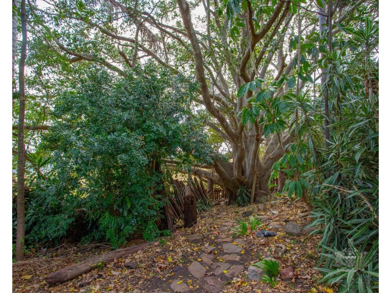 504 Barney View Road, Barney View QLD 4287