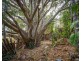 504 Barney View Road, Barney View QLD 4287