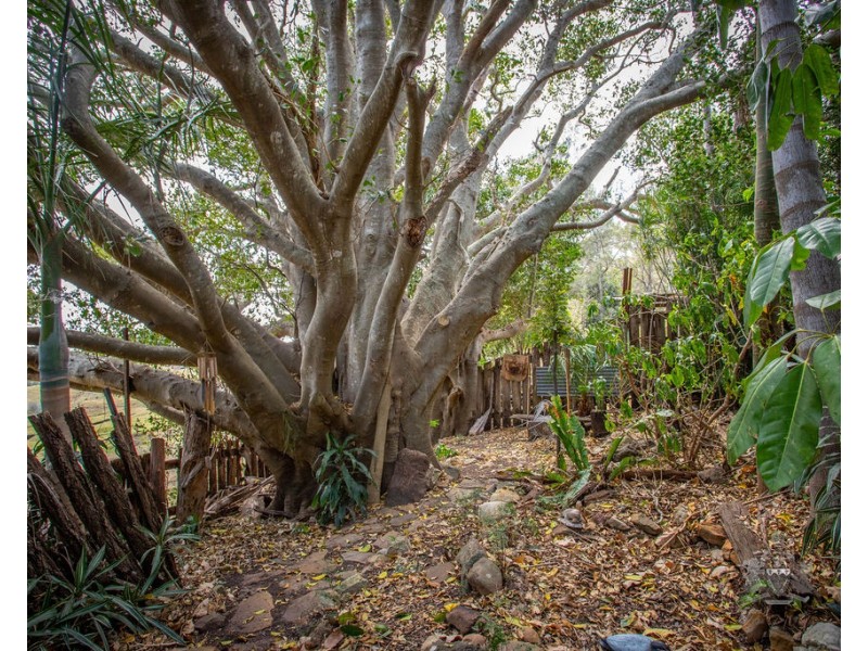 504 Barney View Road, Barney View QLD 4287