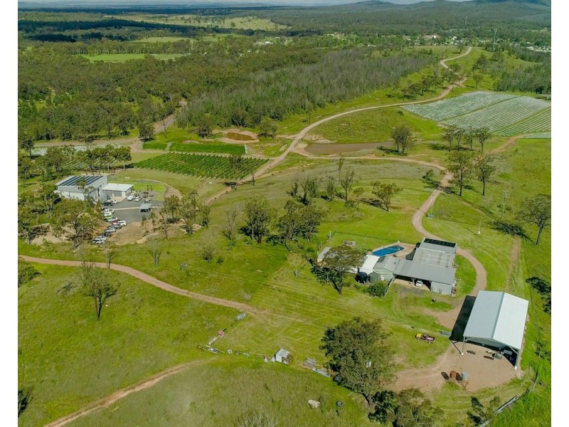 Owens Scrub Road, Leyburn QLD 4365