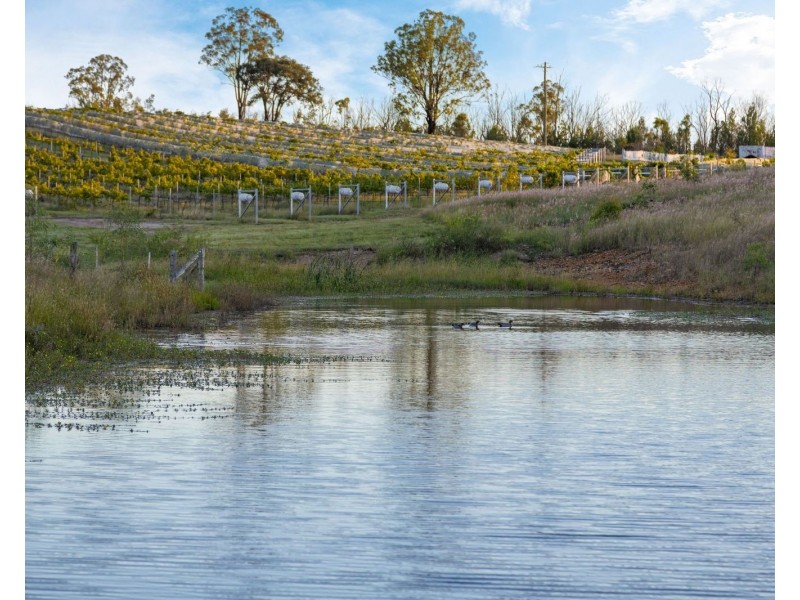 Owens Scrub Road, Leyburn QLD 4365