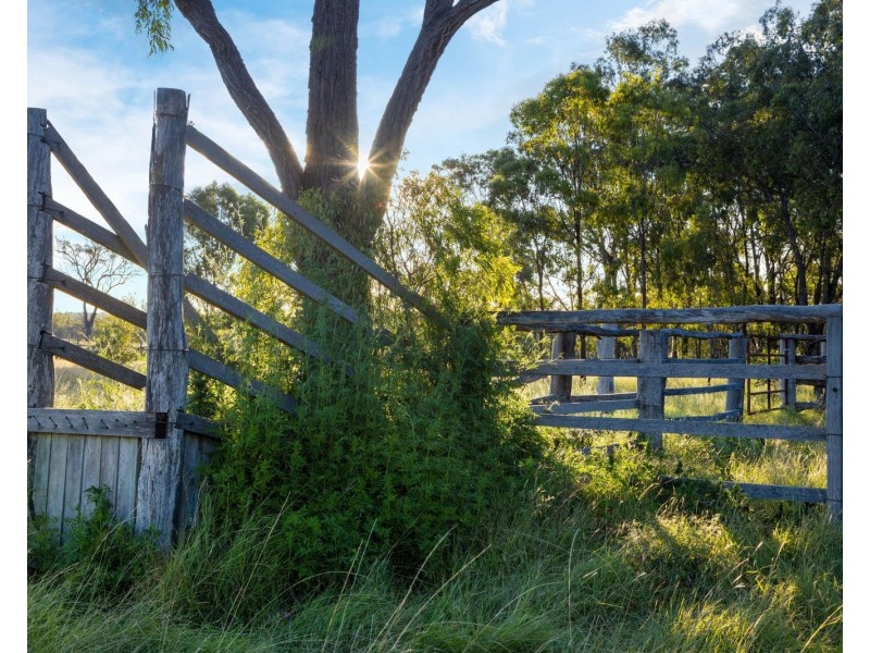 Owens Scrub Road, Leyburn QLD 4365