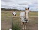 42-48 Malabar Road, Veresdale QLD 4285