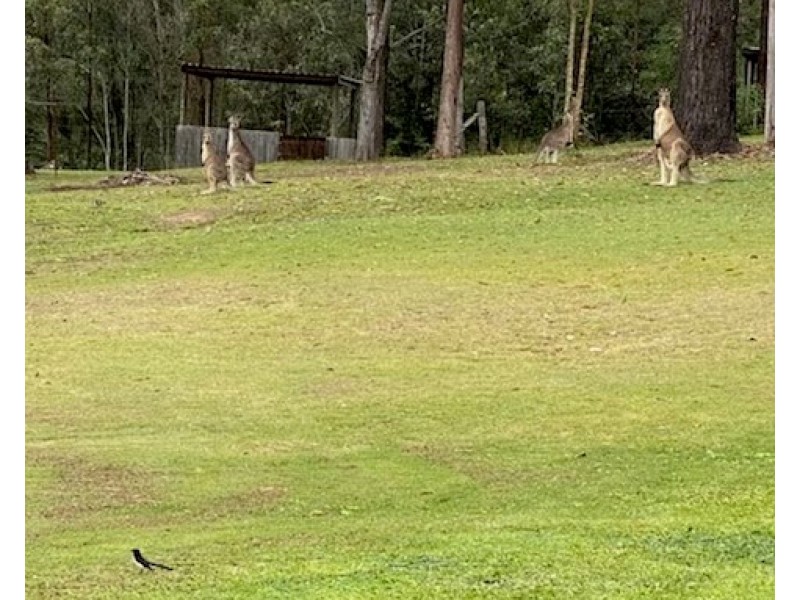 101/120 Whitman Road, Cedar Vale QLD 4285