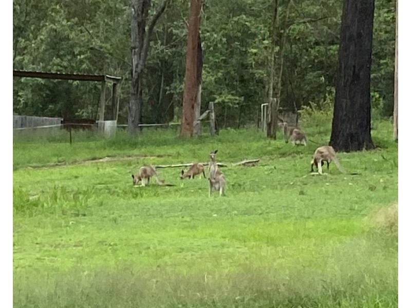 101/120 Whitman Road, Cedar Vale QLD 4285