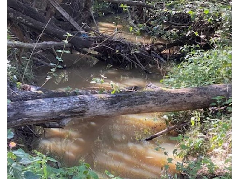 101/120 Whitman Road, Cedar Vale QLD 4285