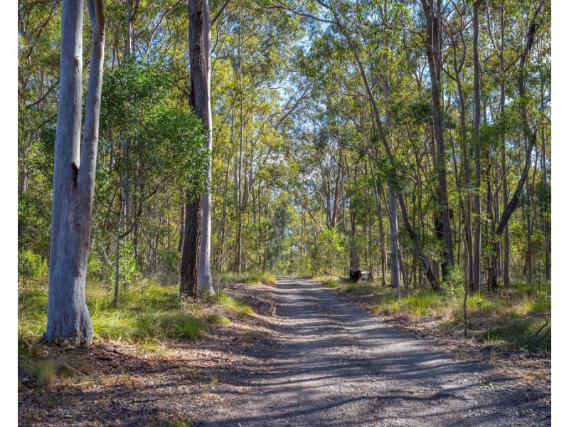 Lot 283 Tunstall Road, Charlwood QLD 4309