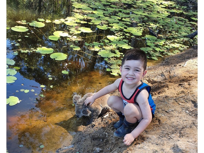 Lot 283 Tunstall Road, Charlwood QLD 4309