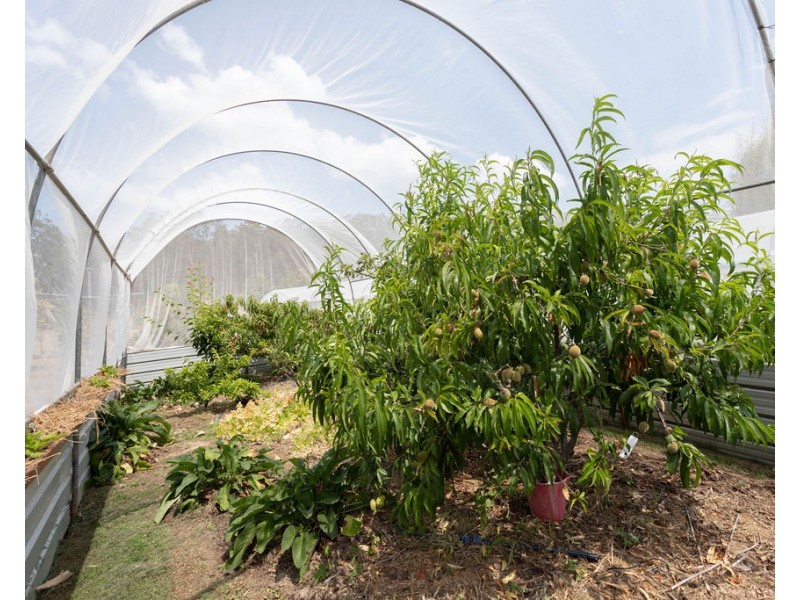 363 Tunstall Road, Charlwood QLD 4309