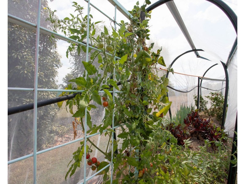 363 Tunstall Road, Charlwood QLD 4309