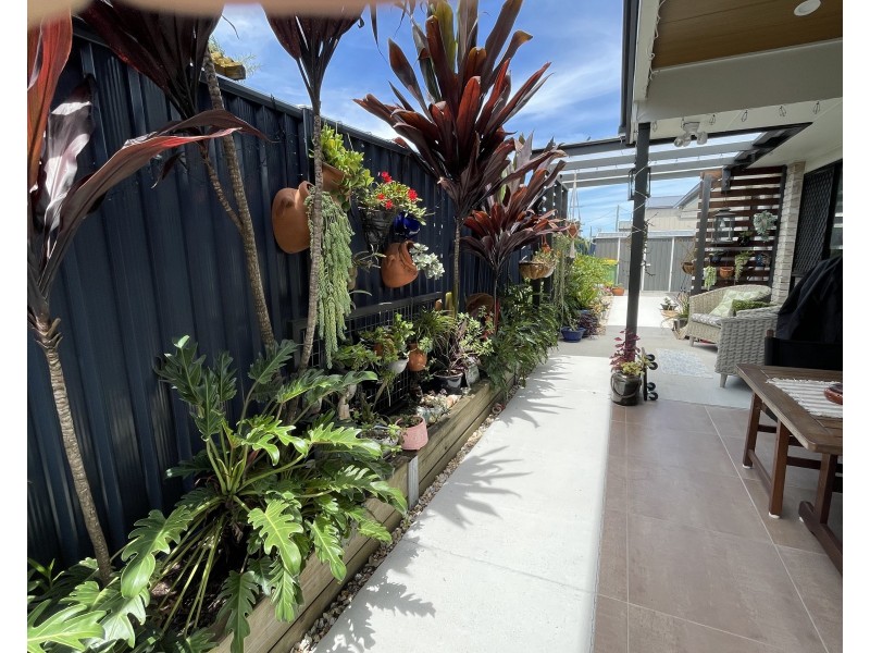 16 Pine Street, Jacobs Well QLD 4208