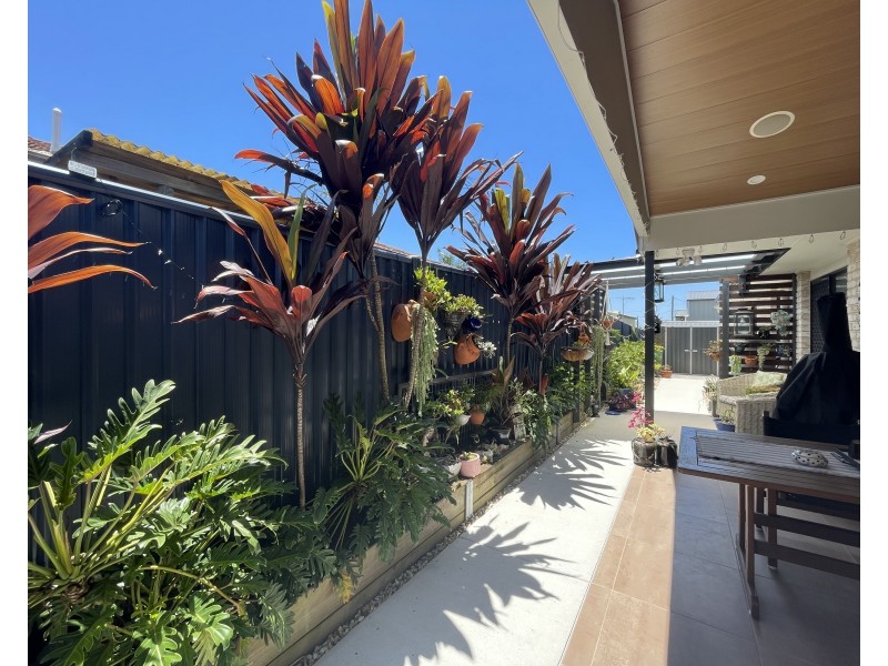 16 Pine Street, Jacobs Well QLD 4208