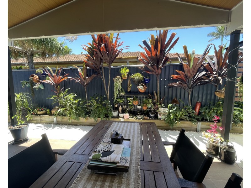 16 Pine Street, Jacobs Well QLD 4208