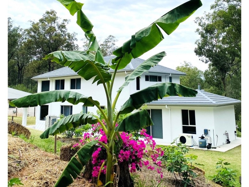 13 Senna Close, Pine Mountain QLD 4306