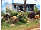 1/12 Flametree Drive, Goonellabah NSW 2480