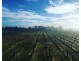 3184 Amiens Road, The Summit QLD 4377