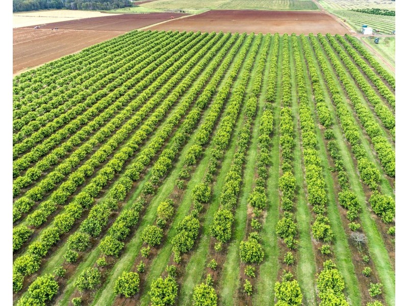 66 McLeods Road, Bullyard QLD 4671