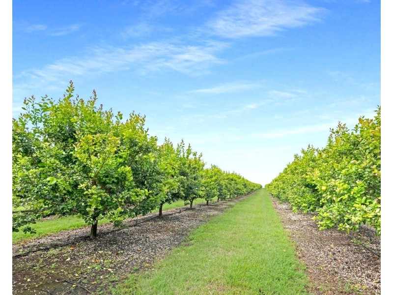 66 McLeods Road, Bullyard QLD 4671