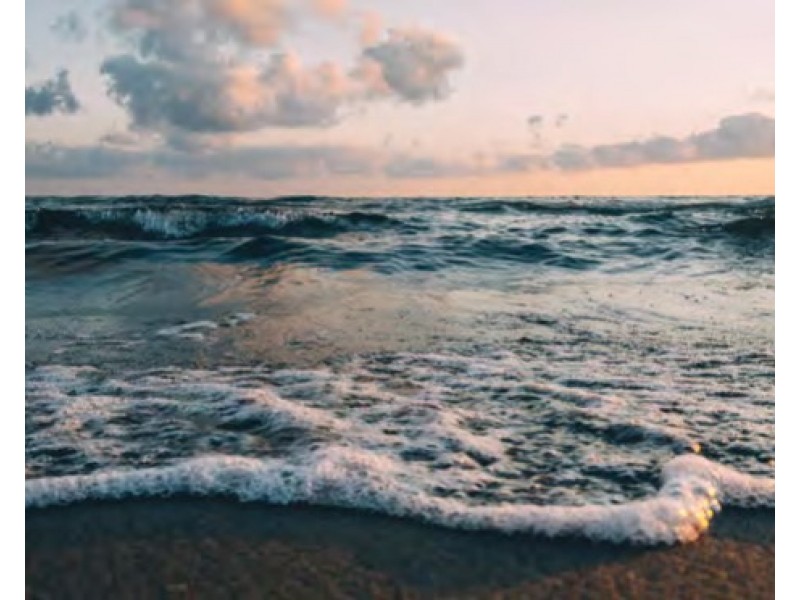 Maroochydore QLD 4558