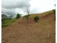 158 Axelsen Drive, Villeneuve QLD 4514
