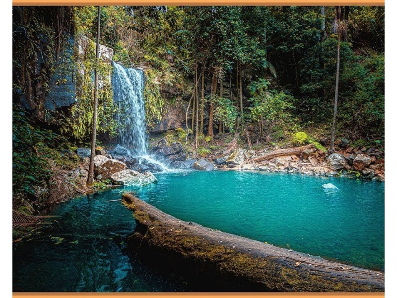 Tamborine Mountain QLD 4272