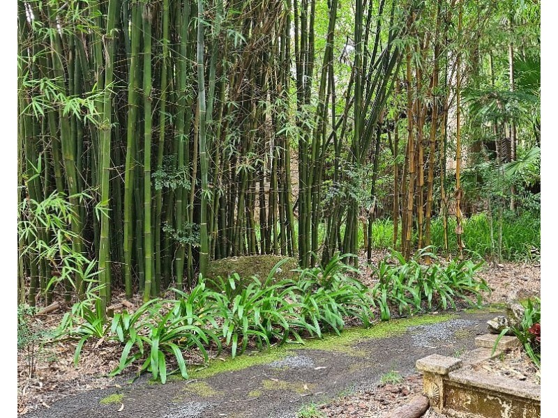 Tamborine Mountain QLD 4272