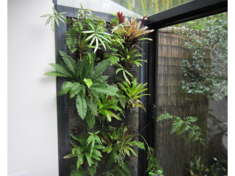 Tamborine Mountain QLD 4272