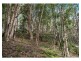 3/1201 Main Arm Road, Upper Main Arm NSW 2482