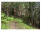 3/1201 Main Arm Road, Upper Main Arm NSW 2482