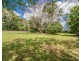 Tamborine Mountain QLD 4272