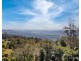 4-6 Coomera Gorge Drive, Tamborine Mountain QLD 4272