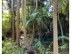 24-34 Macdonnell Road, Tamborine Mountain QLD 4272