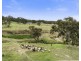 362 Walls Junction Road, Yass NSW 2582
