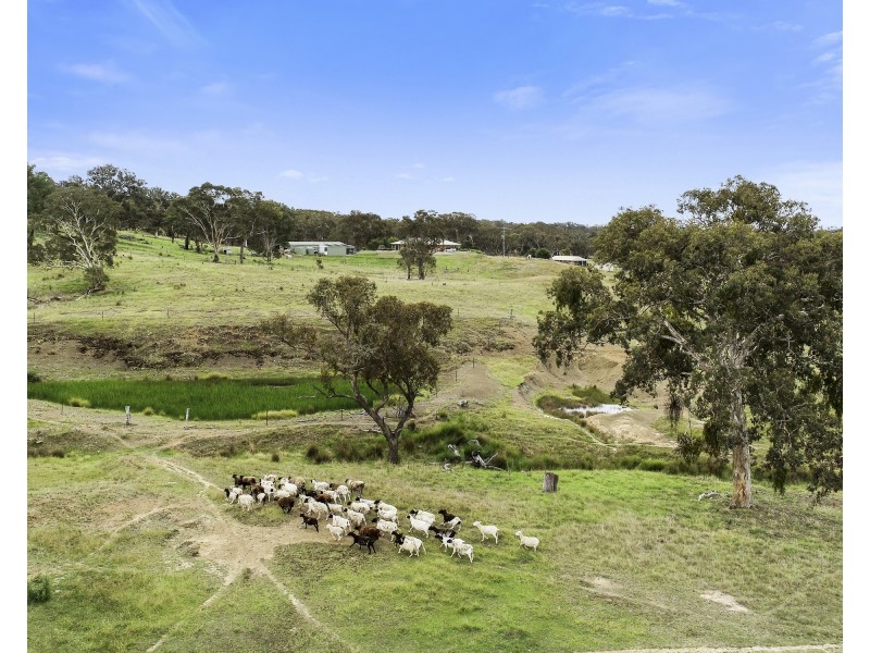 362 Walls Junction Road, Yass NSW 2582