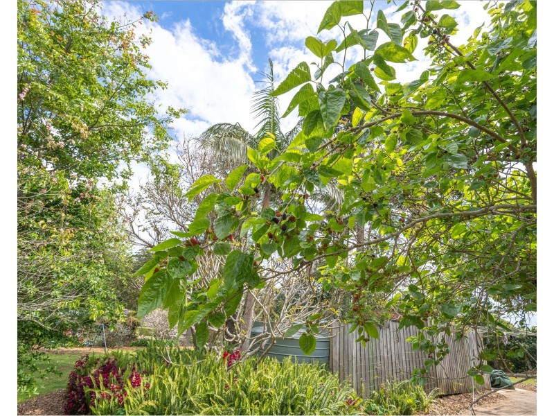9 Ocola Court, Tamborine Mountain QLD 4272