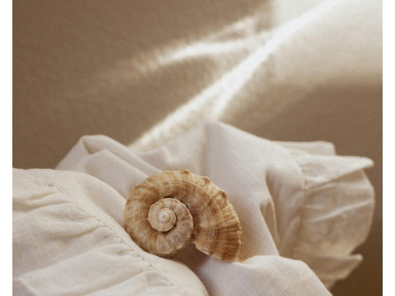 Ormeau Hills QLD 4208