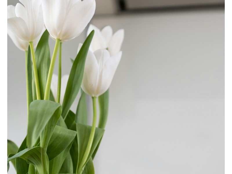 Chambers Flat QLD 4133