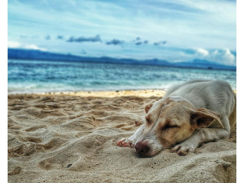 Victoria Point QLD 4165