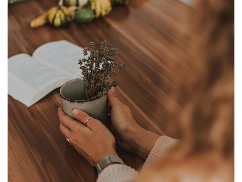 Bracken Ridge QLD 4017