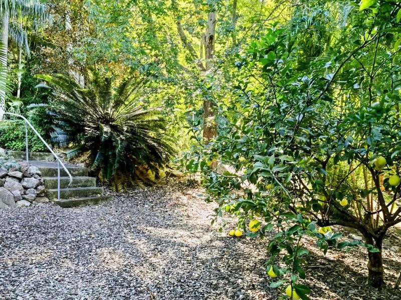 29-33 Ocean Vista Dr, Maroochy River QLD 4561