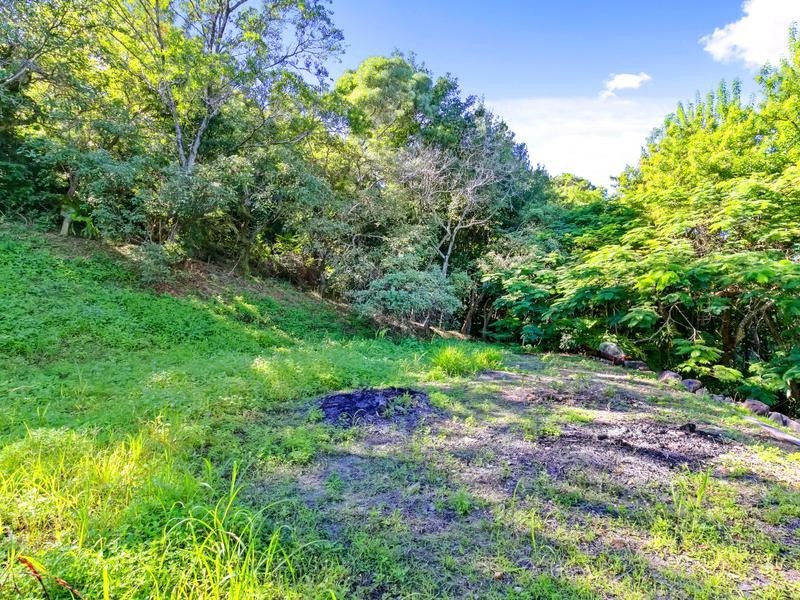 29-33 Ocean Vista Dr, Maroochy River QLD 4561