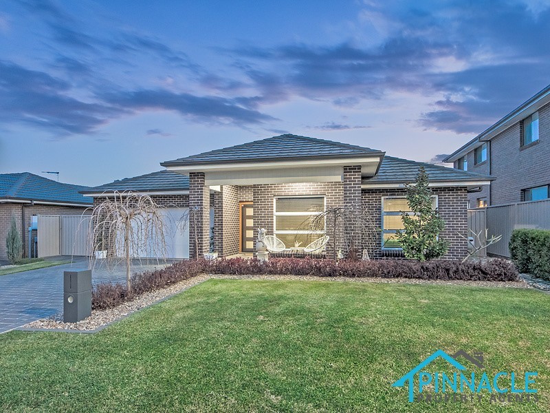 58 Cameron Cct, Harrington Park NSW 2567