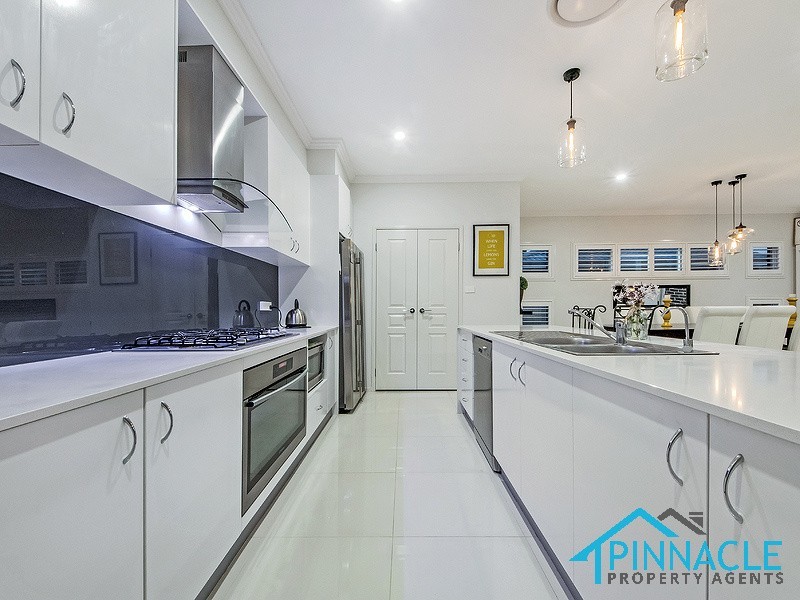 58 Cameron Cct, Harrington Park NSW 2567