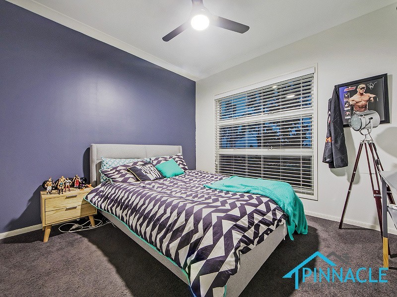 58 Cameron Cct, Harrington Park NSW 2567