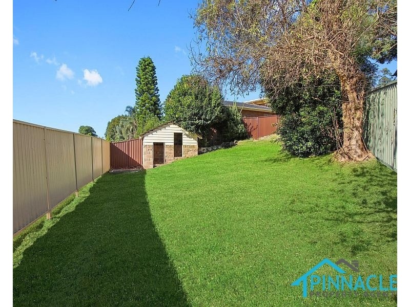 15 Mantalini St, Ambarvale NSW 2560