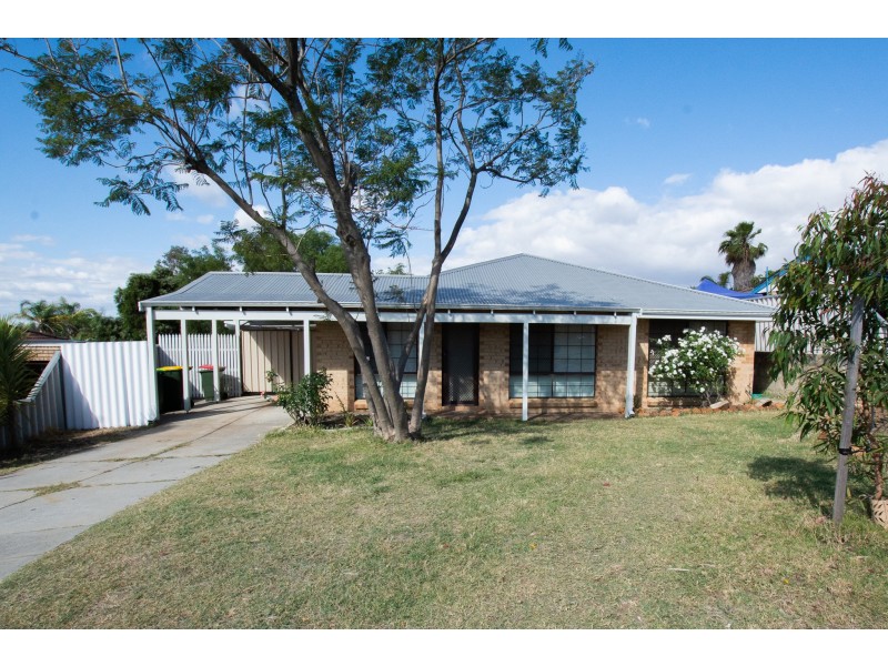 69 Apple Blossom Drive, Mirrabooka WA 6061