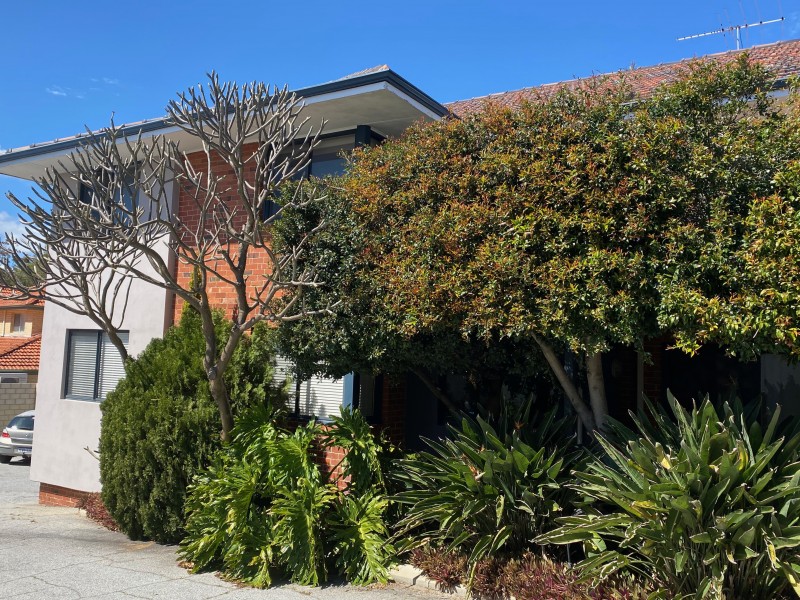 6/412 Stirling Highway, Claremont WA 6010